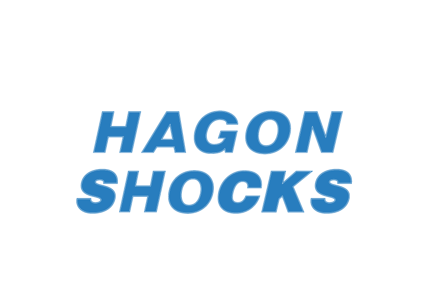 Hagon Shocks